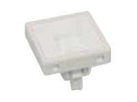 Neklan - Plaque d'insertion modulaire - CAT 6 - blanc 1011135