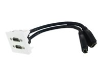 Plastron - Plaque - HDMI X 2 2061397